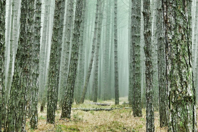 Wilderness Adventures